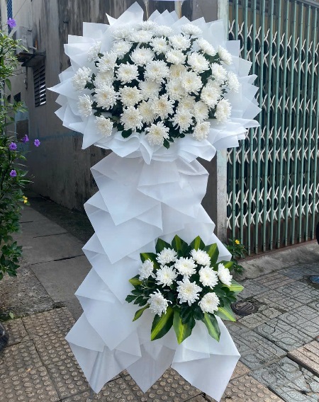Hoa Tang Lễ - V1113