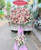 ke-hoa-khai-truong-chuc-mung-k1030 - ảnh nhỏ  1