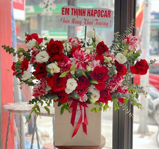 Đỏ May Mắn