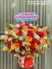 adf3732 - ảnh nhỏ  1