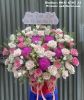 adf3762-vuon-hoa-thu-nho - ảnh nhỏ  1