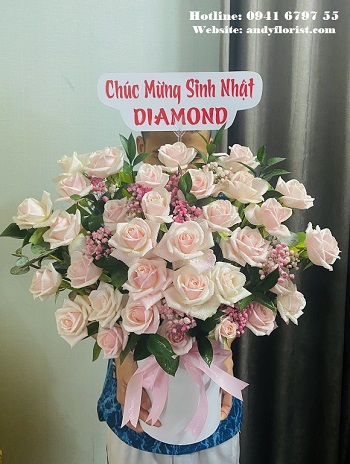 ADF4148 - Hoa Hồng Kem