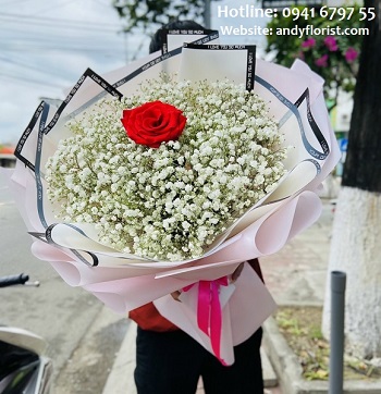 ADF4256 - Bó Hoa Duy Nhất