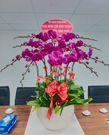 Tiệm hoa andyflorist giá rẻ giao Hẻm 104 Lê Quang Định, Bình Thạnh