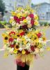 cua-hang-hoa-andy-uy-tin-ship-hem-123-duong-so-2-go-vap - ảnh nhỏ  1