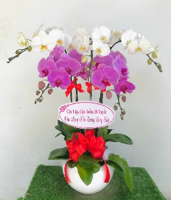 Cửa hàng hoa andyflorist giao Hẻm 119 Nguyễn Thị Tần, Quận 8